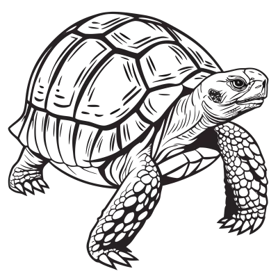 Imagen PNG para descargar